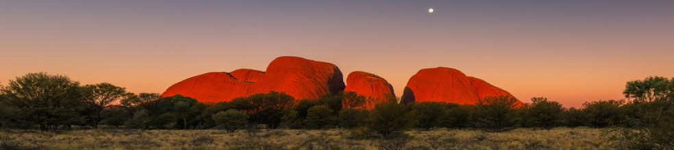 olgas panorama